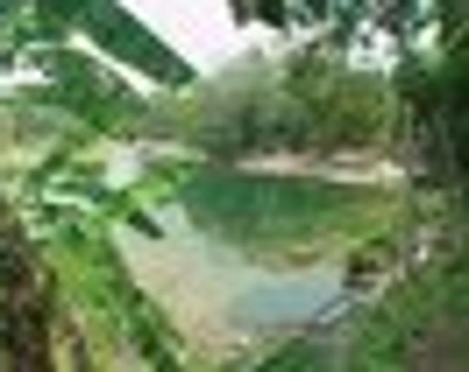 Nututun Palenque Hotel - Außenansicht