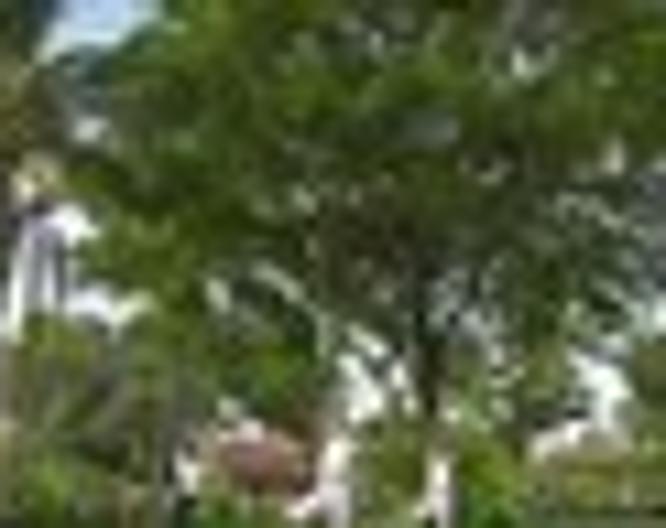 Banyan Tree SPA Sanctuary - 