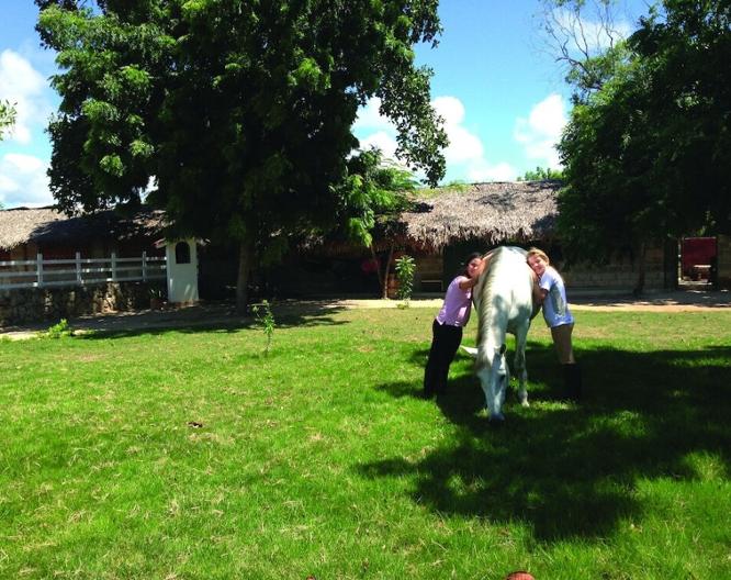 Hotel Casa Hemingway - Landschaft