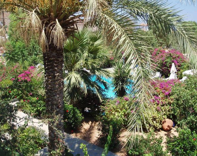 Irini Hotel - Pool