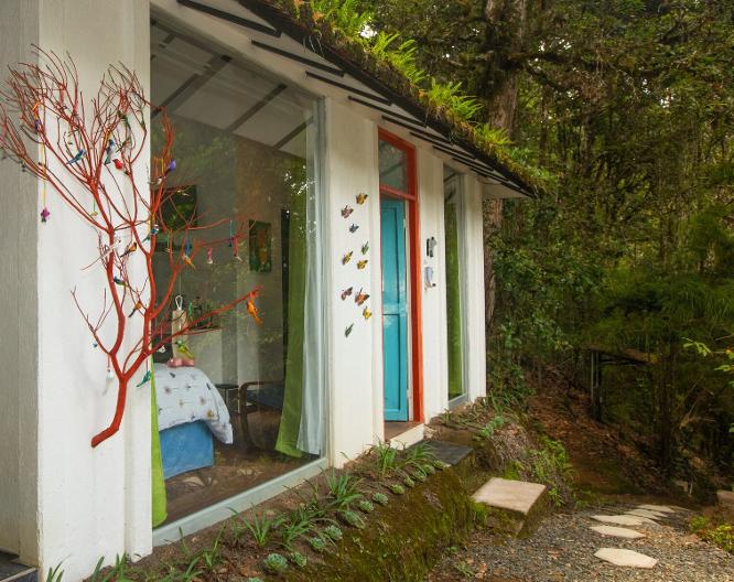 Dantica Cloud Forest Lodge - Vue extérieure