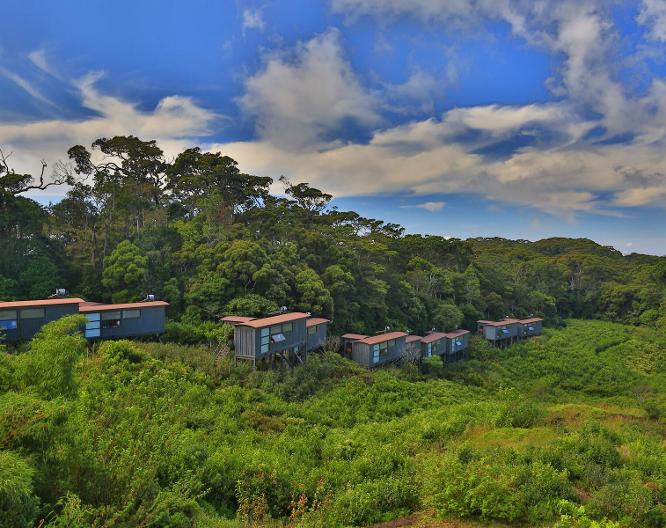 The Rainforest Ecolodge - Außenansicht