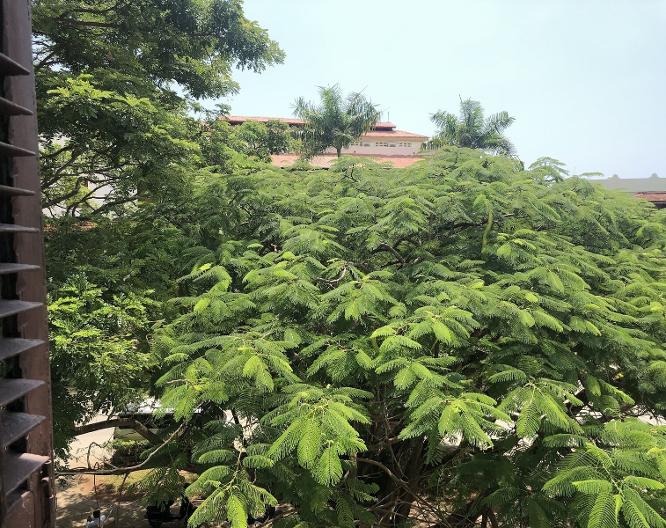 Beyt Al Salaam - Paysage