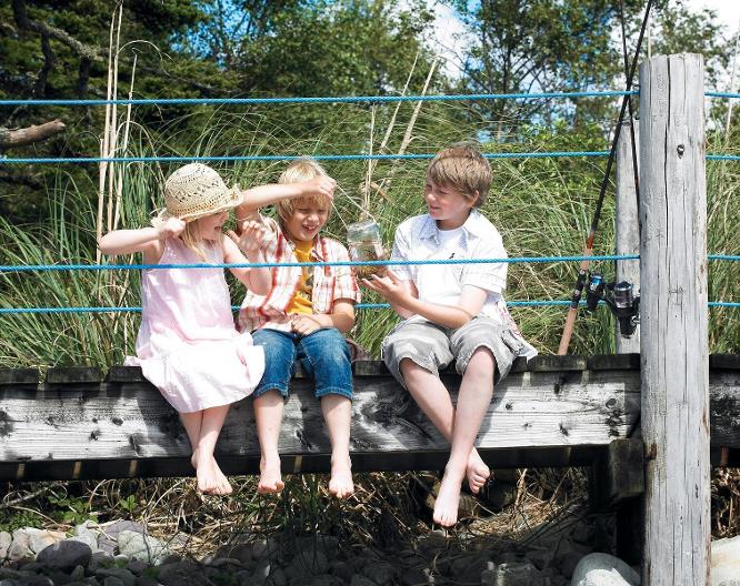 Parknasilla Resort & Spa - Landschaft