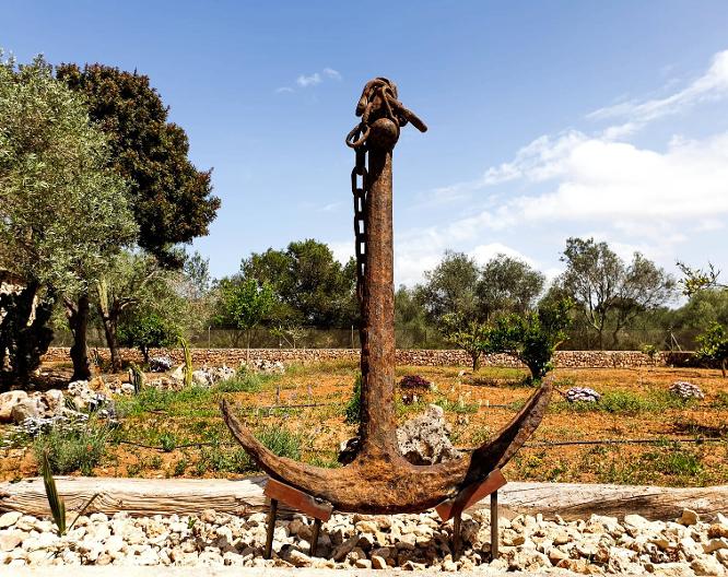 Finca Rural S'art 9 B&B - Allgemein