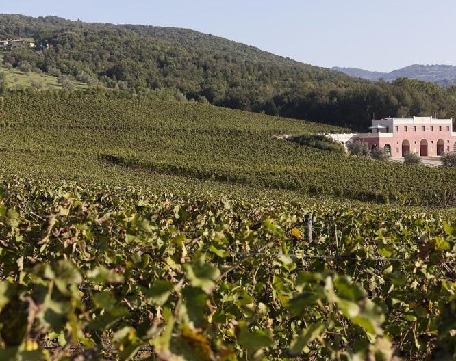 Tenuta Il Sassone - Außenansicht