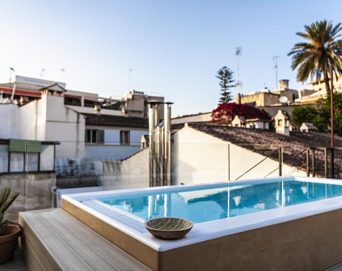 M House Hotel - Pool