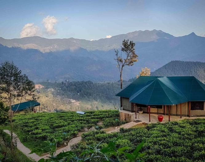Madulkelle Tea and Eco Lodge - Vue extérieure