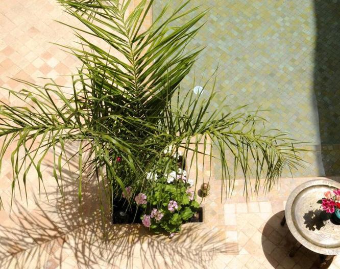 Riad Les Hibiscus - Landschaft