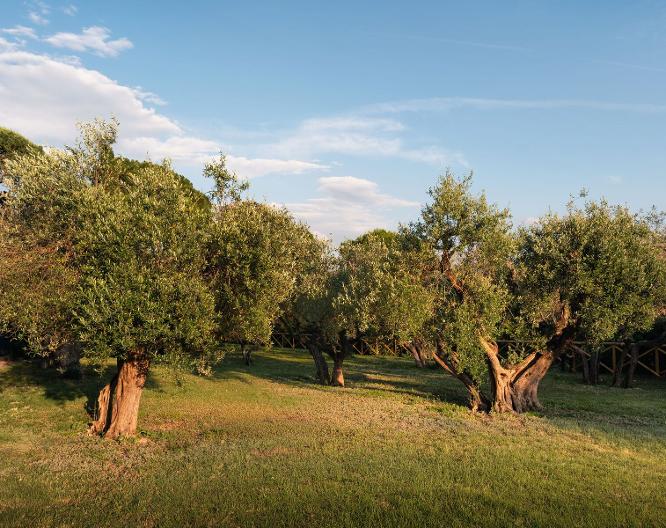 Le Tre Vaselle - Landschaft