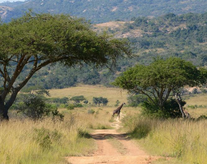 Tomjachu Bush Retreat - Allgemein