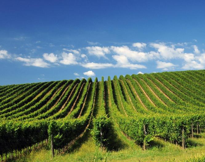 Eurorest - Landschaft