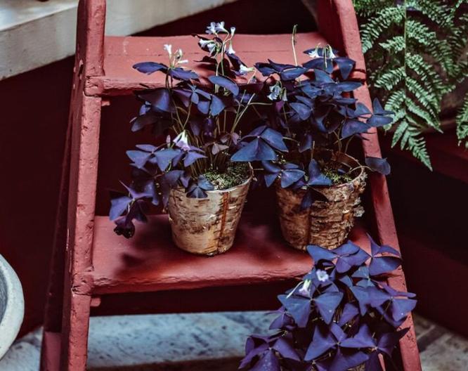 Maison Saintonge - Landschaft