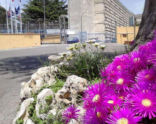 Hotel Federico II - Vue extérieure