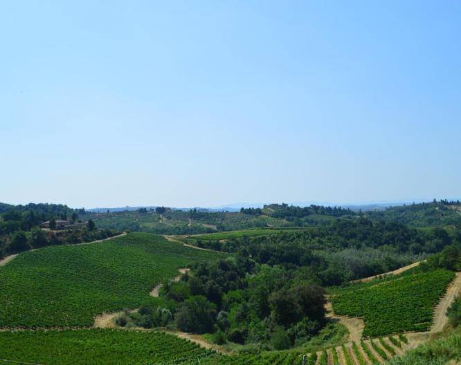 Fattoria il Bacio - Landschaft