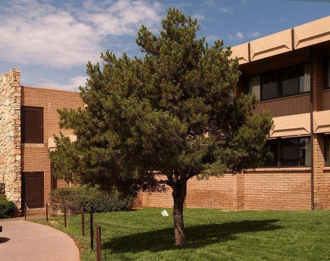 Kachina Lodge - Außenansicht