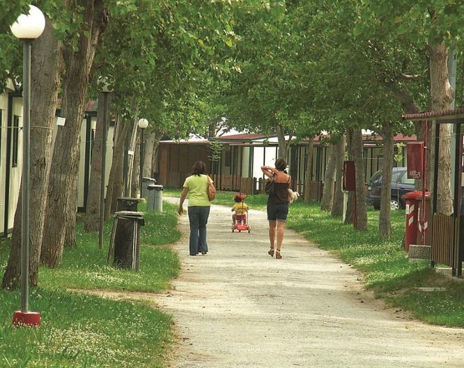 Camping Classe - Landschaft