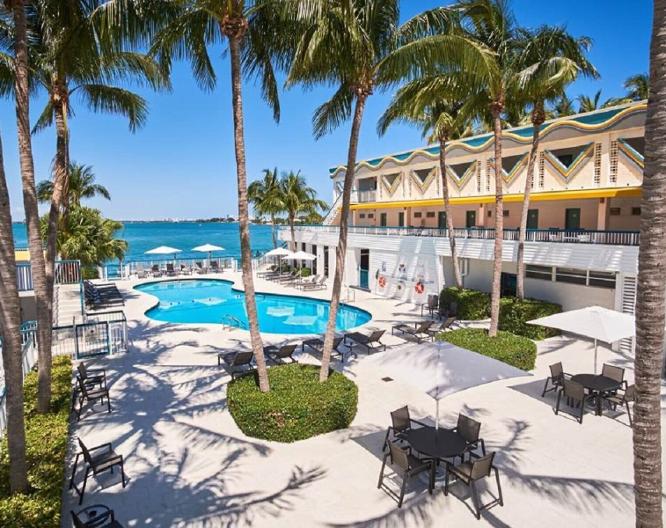 Palm Tree Club Miami - Pool