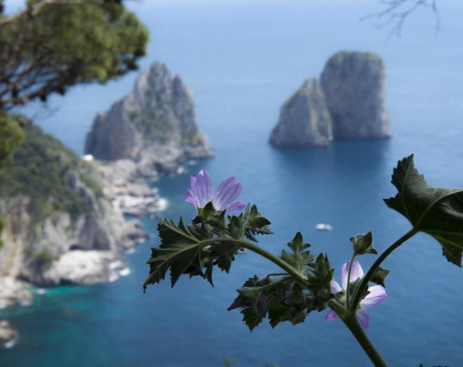 Bussola Hermes - Strand