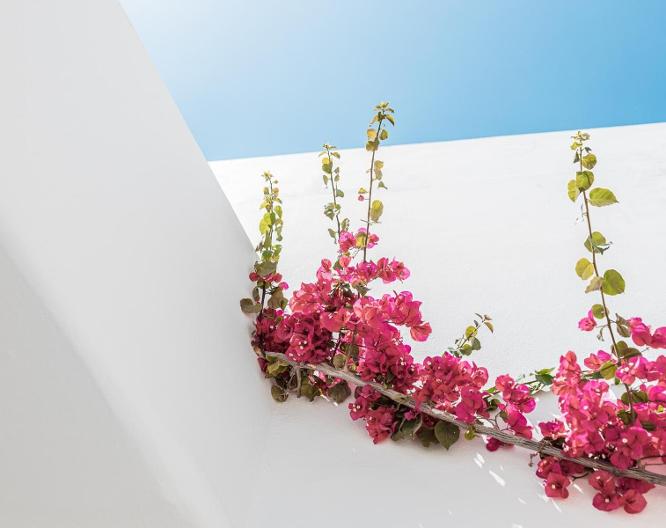 Bohemian Luxury Boutique Hotel - Landschaft