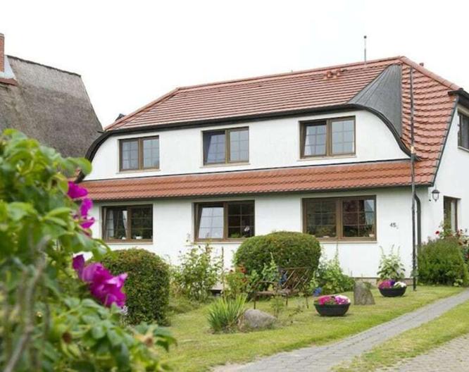 Pension Deichgraf - Außenansicht