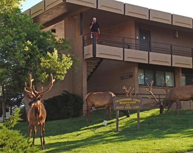 Kachina Lodge - Außenansicht