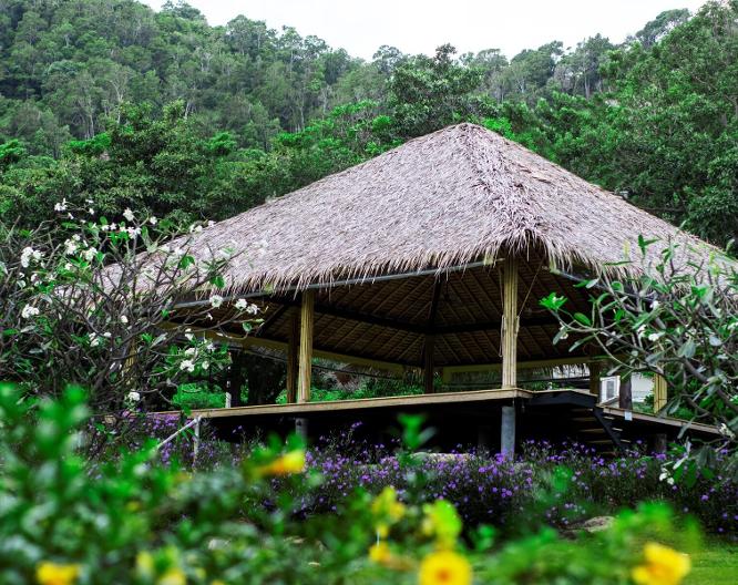 Absolute Sanctuary - Allgemein