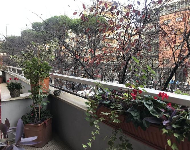 Casa Mia Vaticano - Paysage