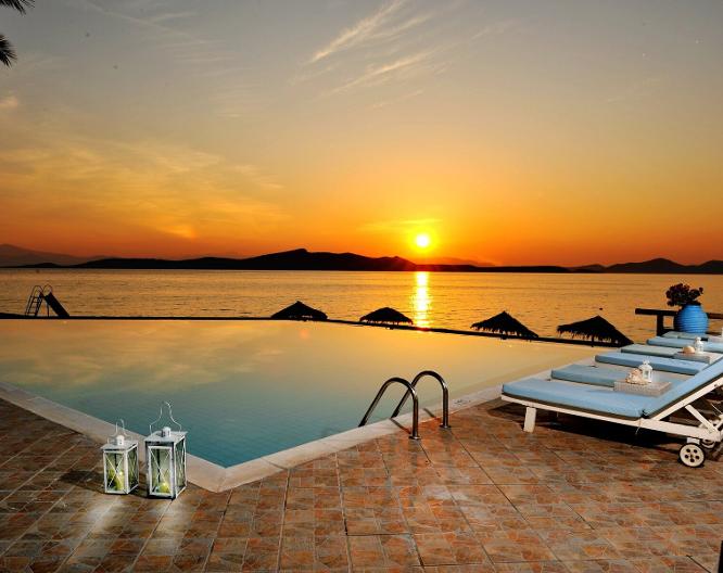 Venus Beach - Pool
