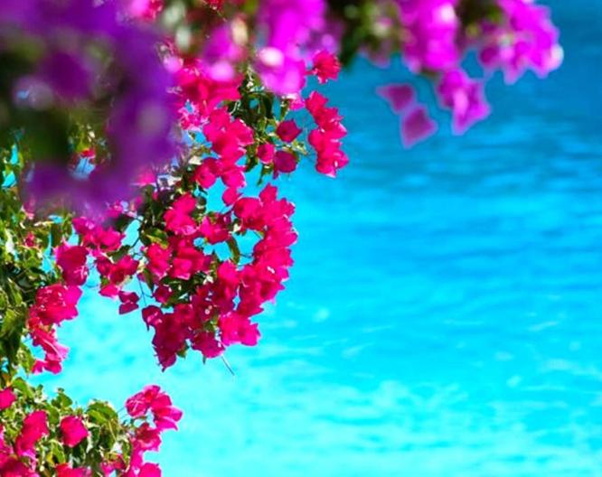 Douka Seafront Residences - Landschaft