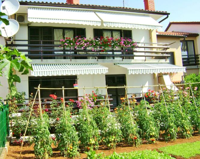 Apartments Miljenko - Paysage