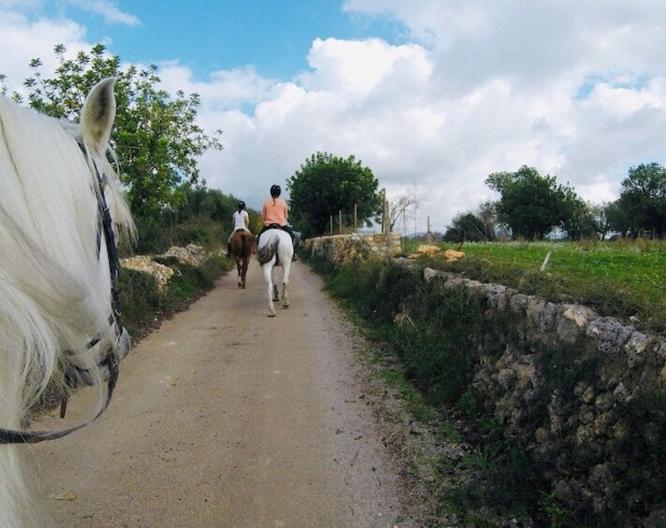 Finca Son Menut - Landschaft