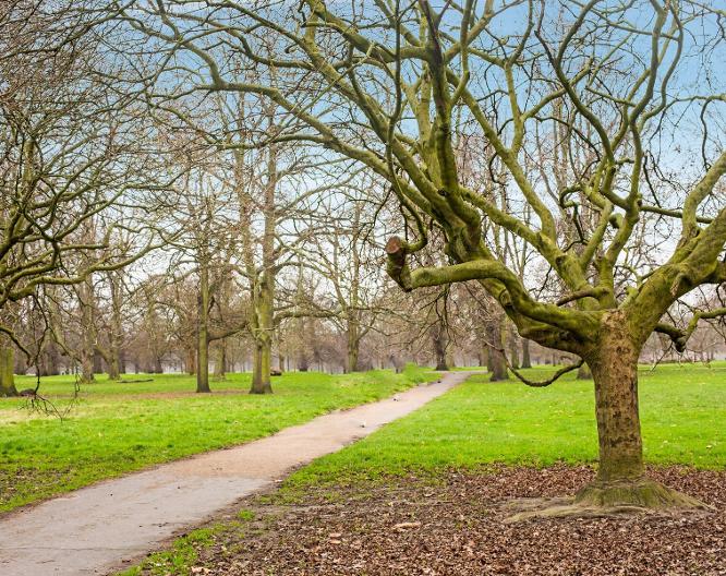 Townhouse Apollo, Hyde Park - Landschaft