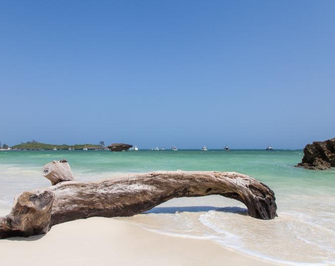 Medina Palms - Landschaft