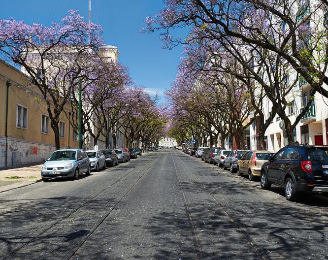 Portugal Ways Conde Barao Apartments - Allgemein