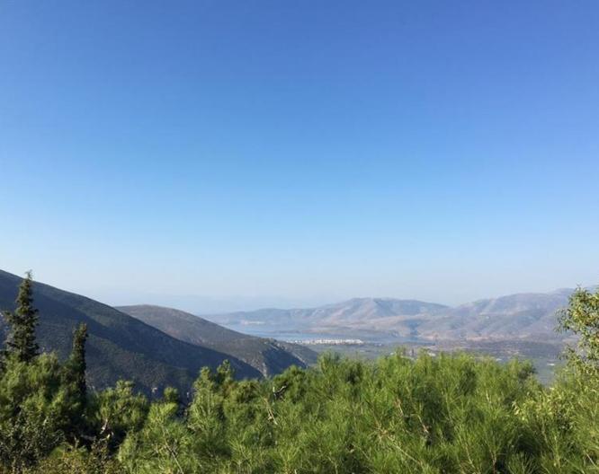 Delphi Palace - Paysage