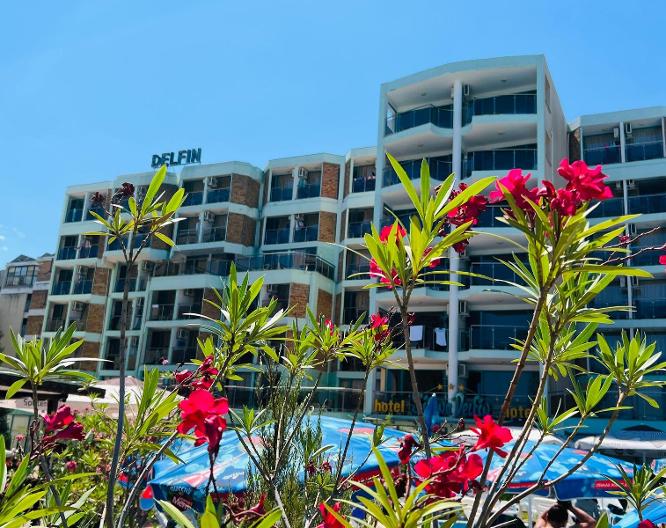 Delfin - Außenansicht