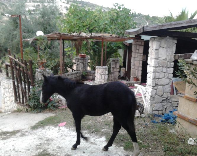 Agri-Costella Country House Vieste - Landschaft