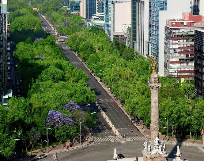 Ibis Styles Mexico Zona Rosa - Vue extérieure