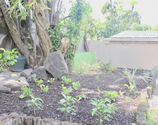 Selborne Bed and Breakfast - Landschaft
