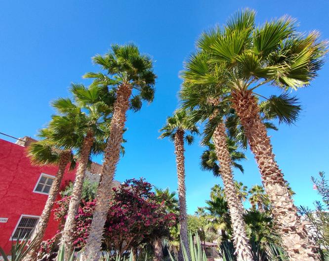 Hotel Estoril & Apartments - Außenansicht