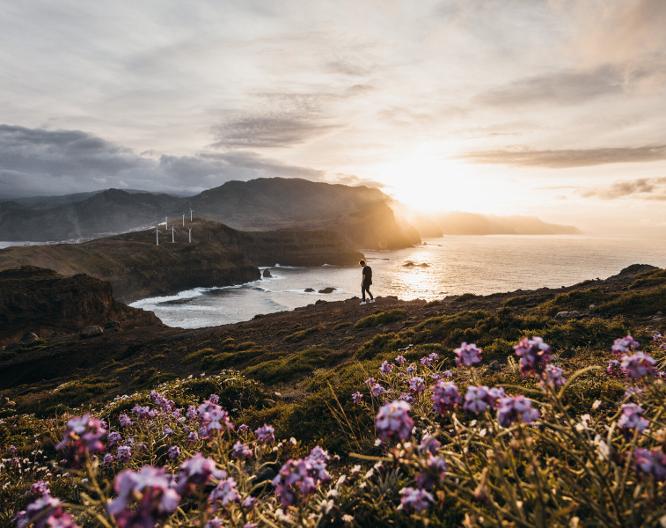 Rundreise Wandern: ASI - Madeiras Highlights erwandern - Landschaft