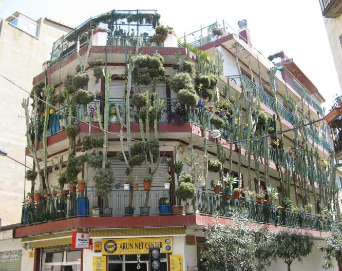 Hotel Oasis Park - Vue extérieure