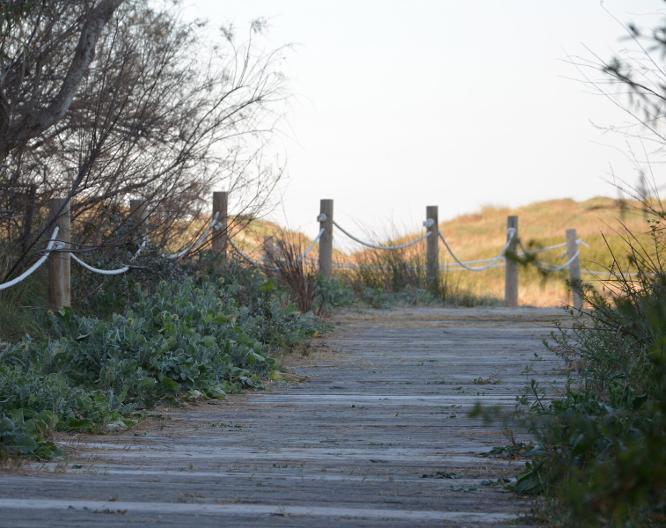 You & Co Saler Beach Boutique - Landschaft