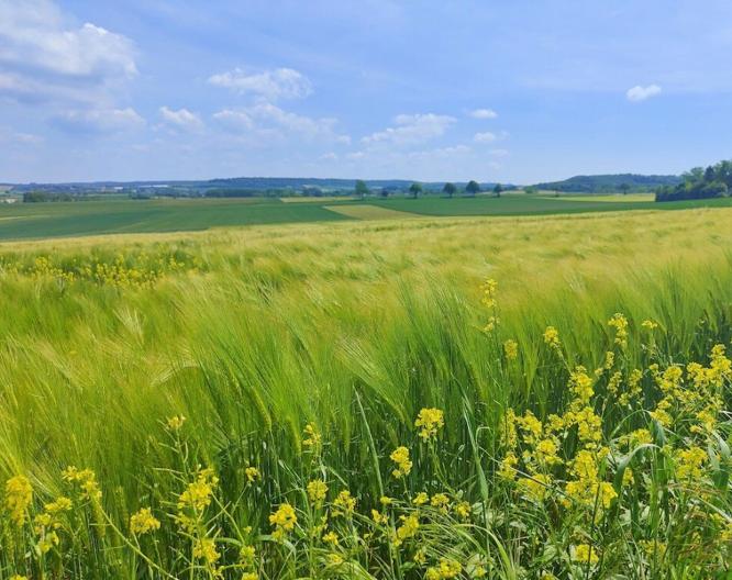 Holiday Inn Calais Coquelles - Paysage