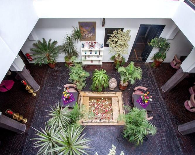 Ryad Amiran - Landschaft