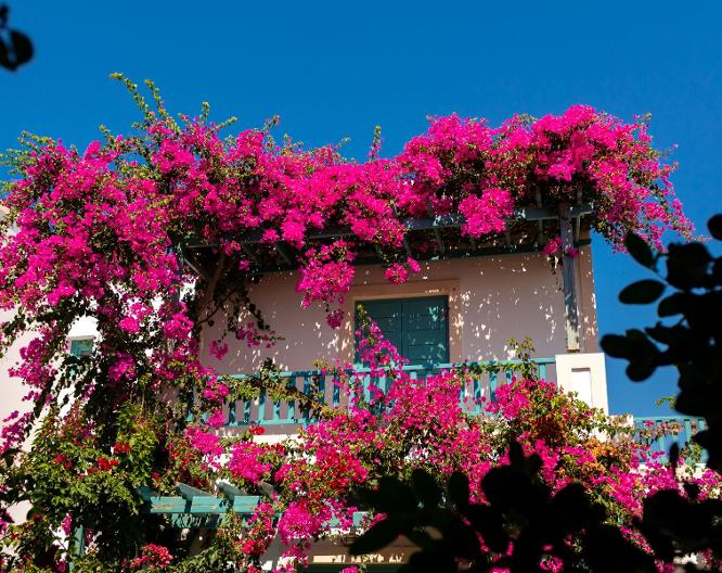 Andreas Hotel Santorini - Landschaft