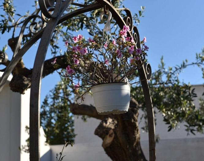 Rainbow Resort - Landschaft