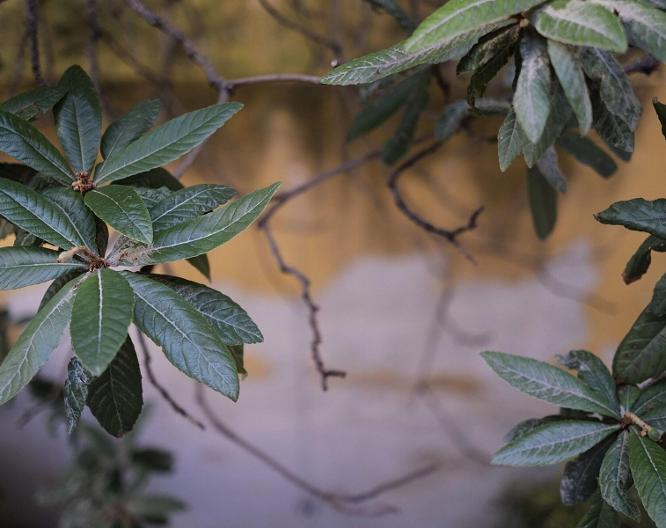 Shila Athens - Landschaft
