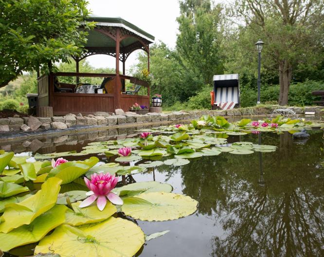 Pension Deichgraf - Landschaft